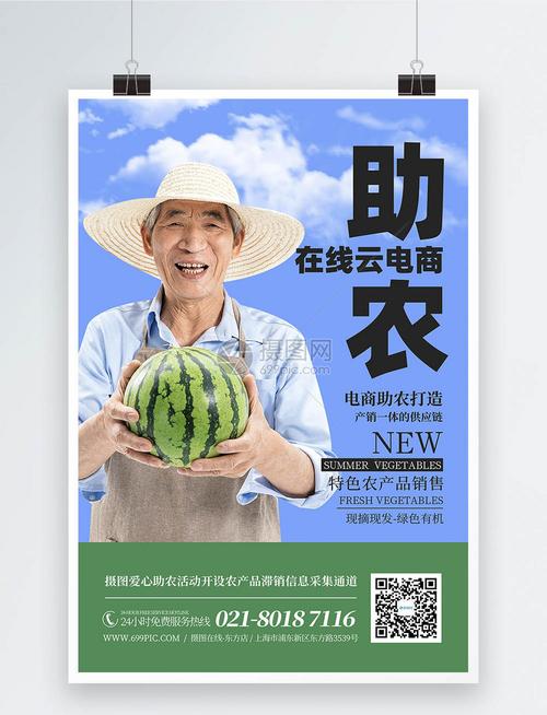 电商助农蔬菜水果农产品销售宣传海报