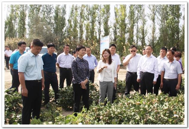 王侠一行在博州农副产品物流园调研农产品流通情况.